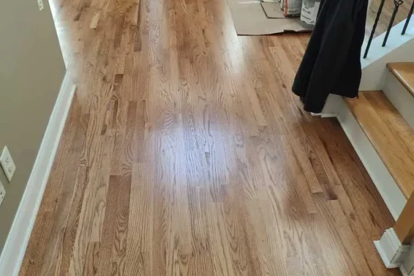 New Flooring paint trim after flood 