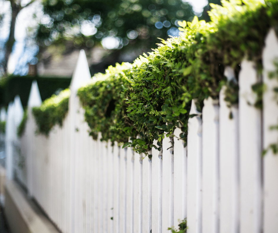 fence