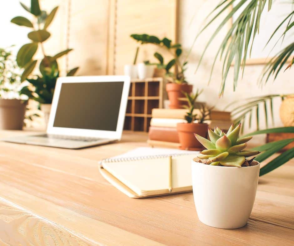 Desk in a home office filled  with indoor plants.